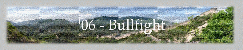 '06 - Bullfight