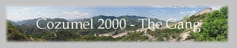 Cozumel 2000 - The Gang