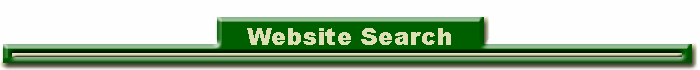 Website Search